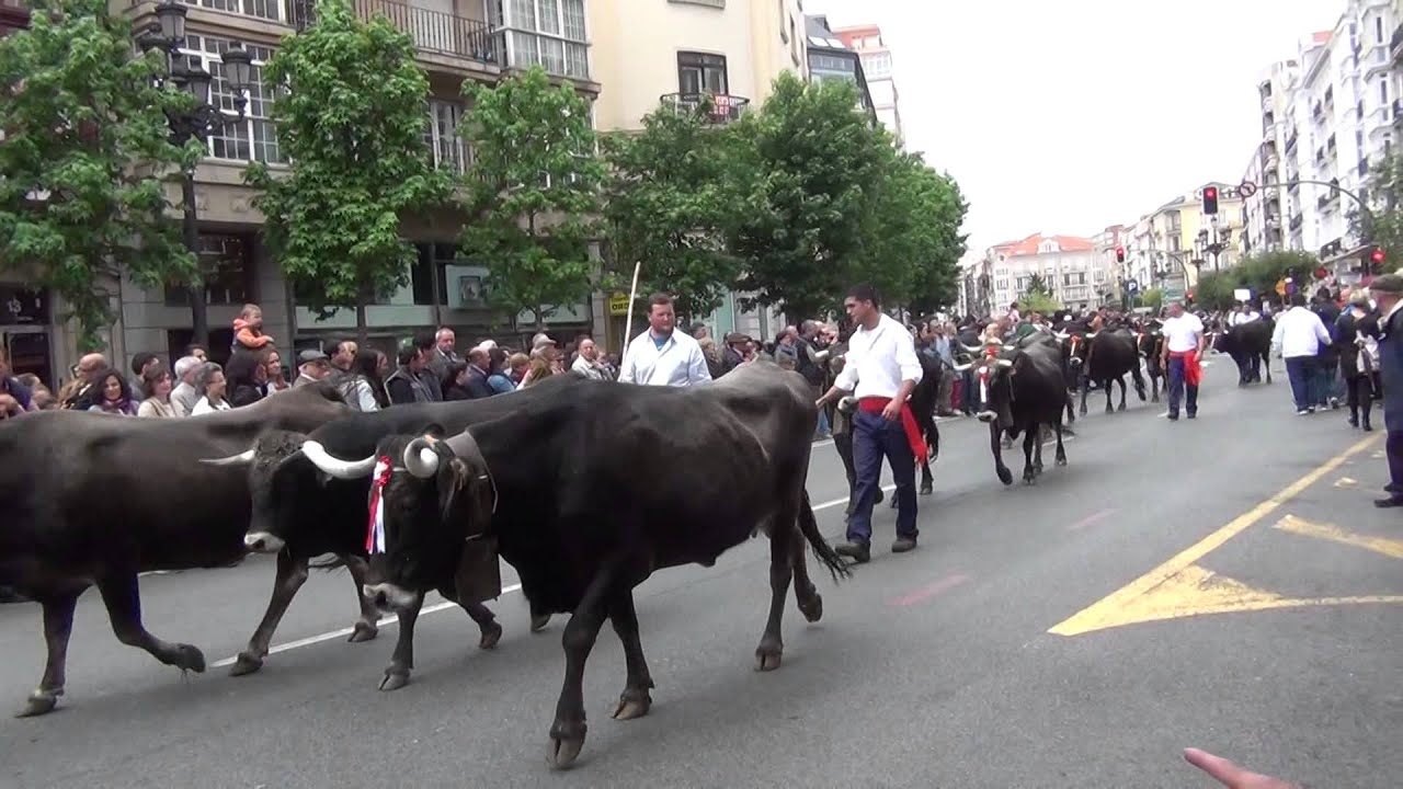 Tudancas en Santander 01-06-2014