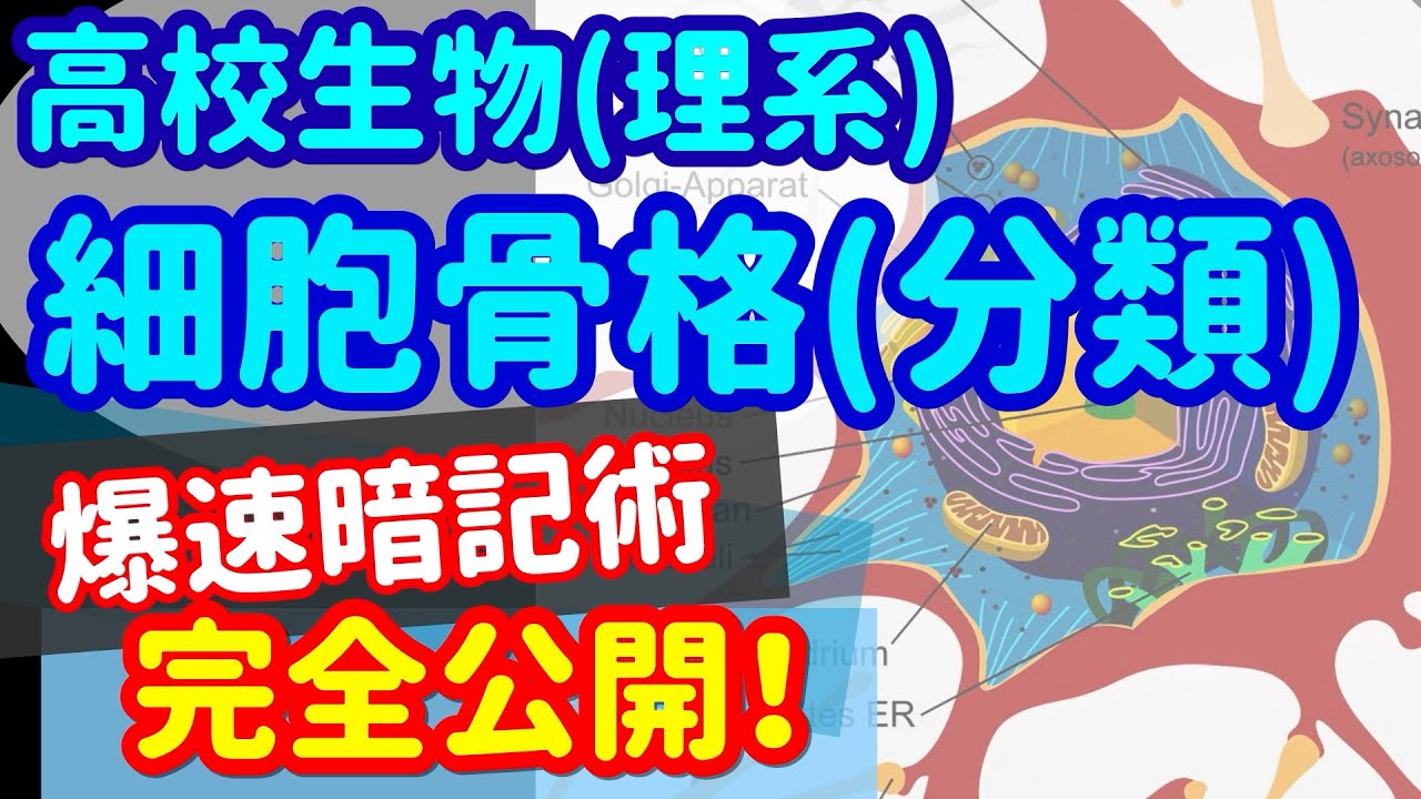 【高校生物 1】細胞【細胞骨格[分類]】を宇宙一わかりやすく