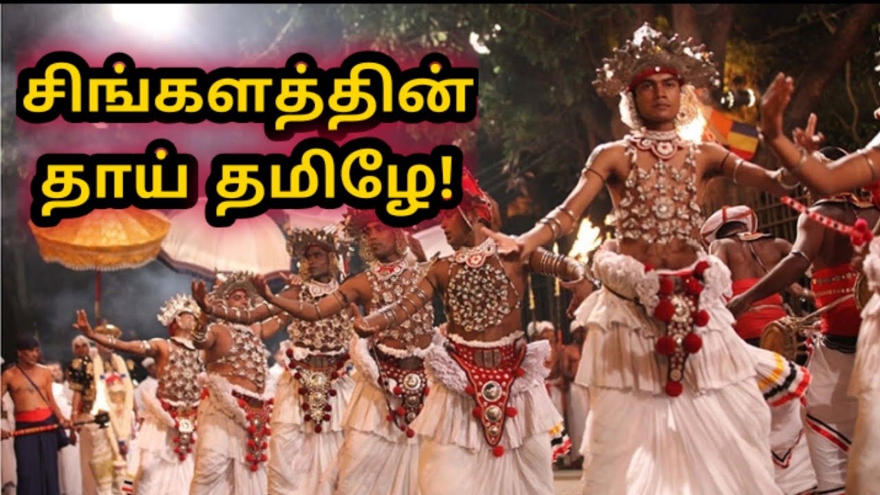 சிங்களத்தின் தாய் தமிழே! | மரபணு ஆய்வுகள் - ஒரு பார்வை | Tamil ancestry of Sinhala - Raavanam|