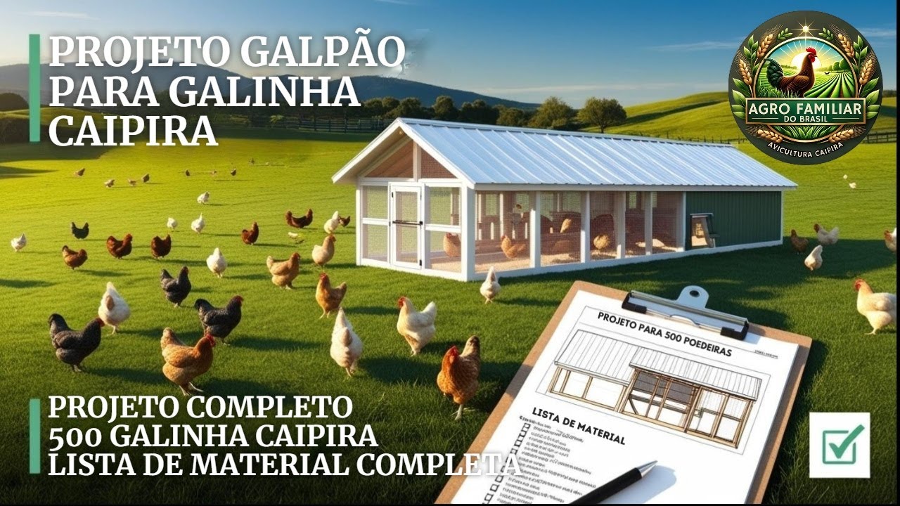 Construa um Galpão para 500 Aves com Baixo Custo e Máxima EFICIÊNCIA