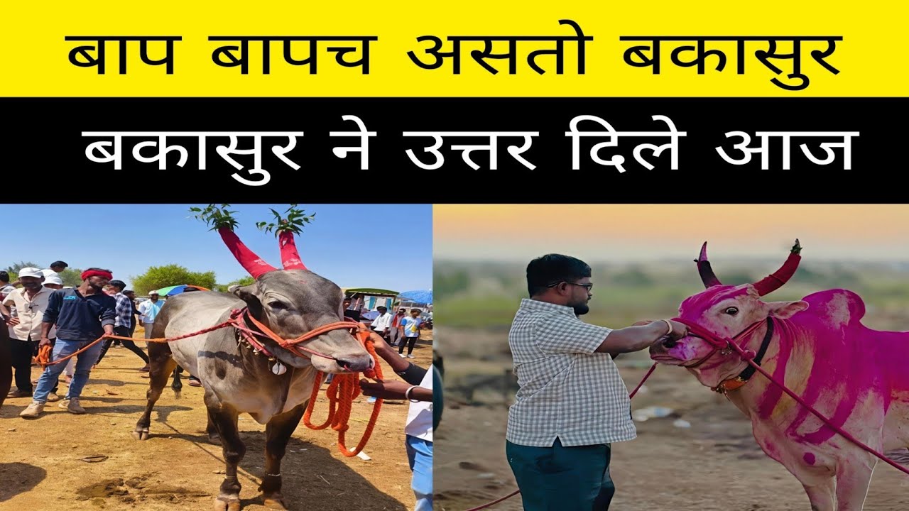 आज बकासुर आणि गोकुळ ने सुट्टा एक नंबर केला.. बकासुर संपला नाही आणि संपणार ही नाही 