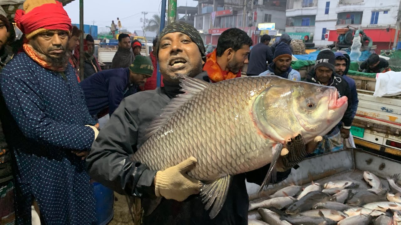 wow big big size Katla fish selling live skills by expert fish cutter in Fishmarket 
