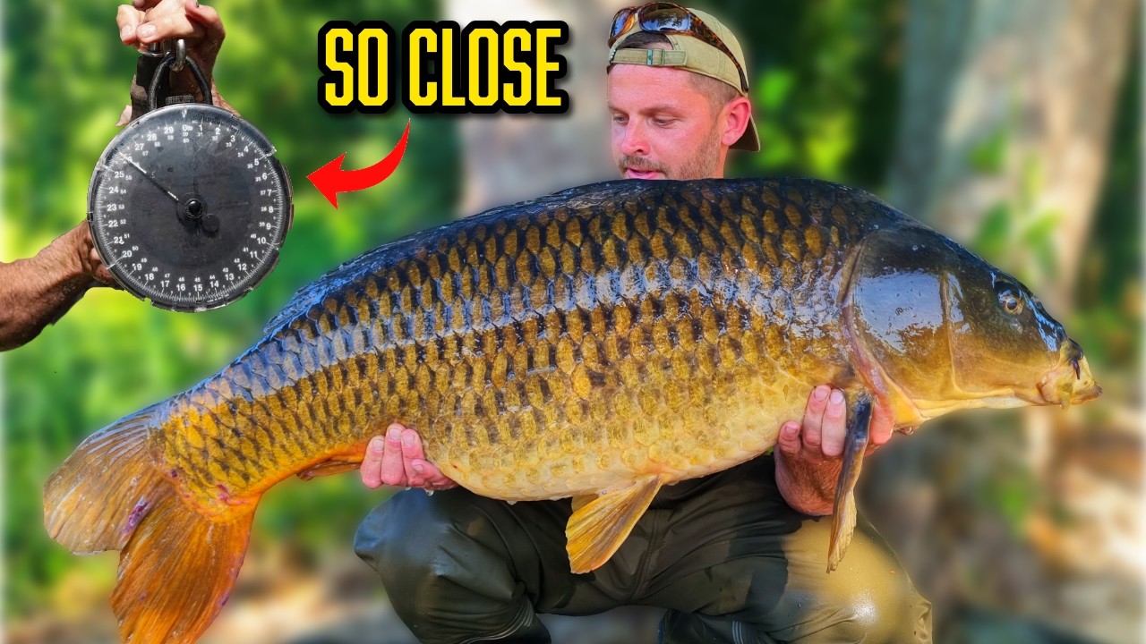 Quest for a 50lb Common 🐳  | Big Carp Fishing 🎣 | Les Saisons 🇫🇷 