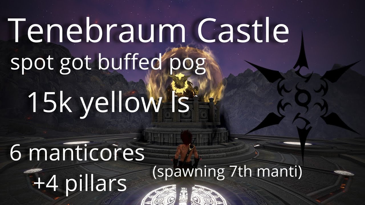 BDO | Succession Ninja | Tenebraum Castle | 15k lv2 ls | 6+4 Manticores/Pillars