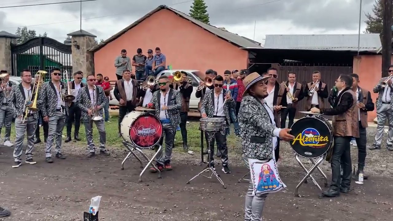 Viva Michoacan Banda Alteñita FT Banda Monarca