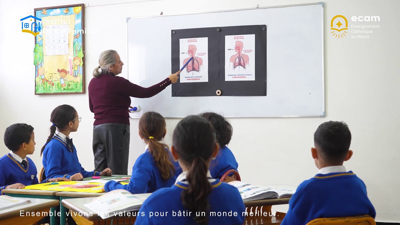 L'appareil respiratoire