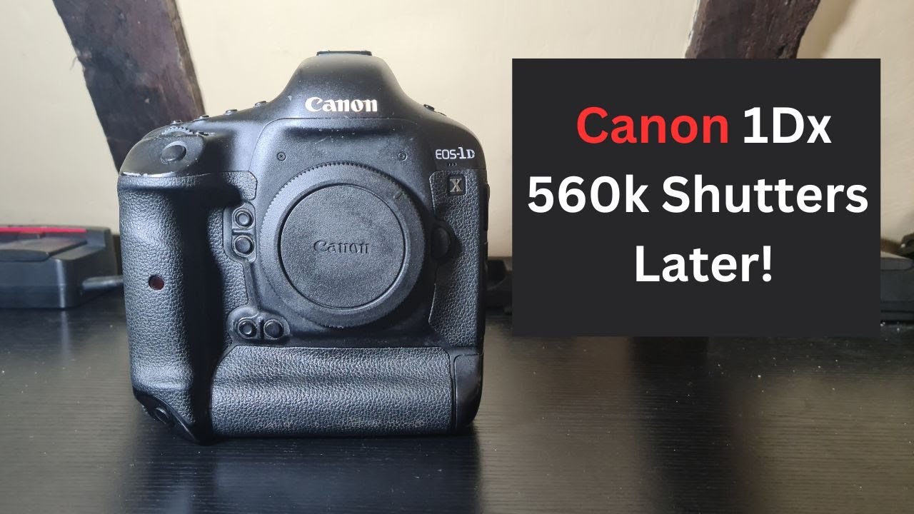 Canon 1Dx — Что я думаю после 560k Shutters?!