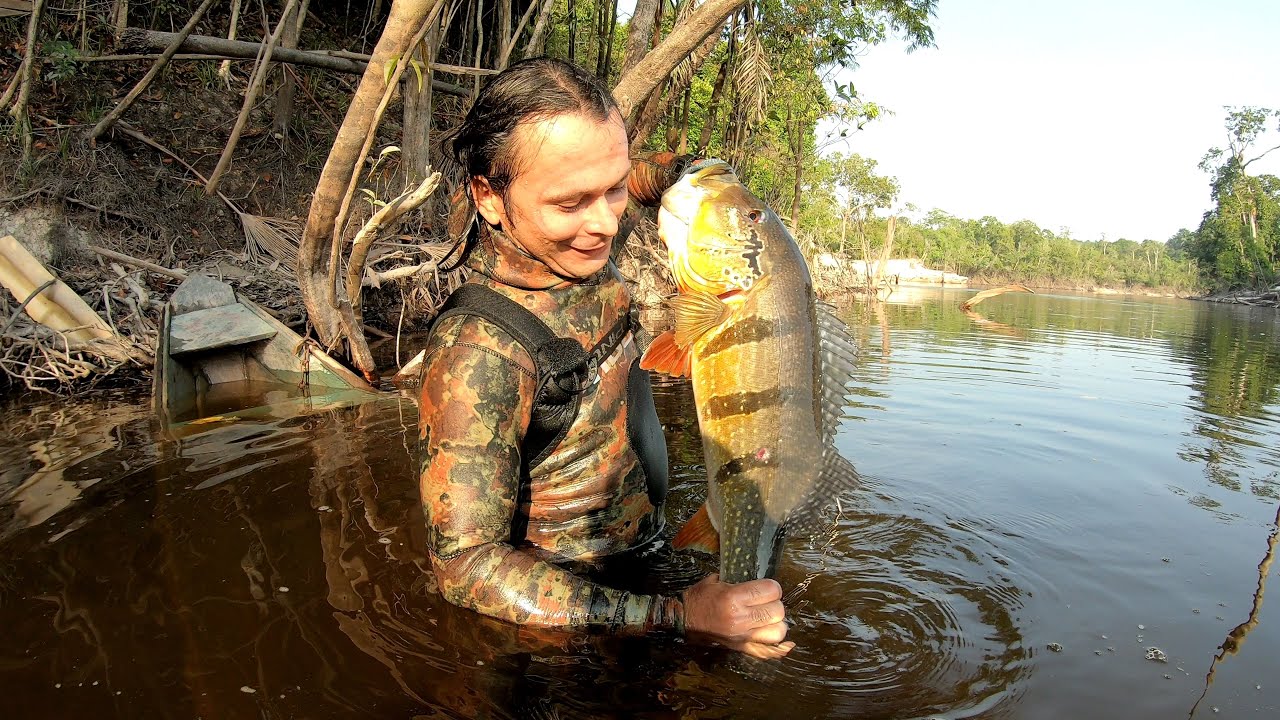 Tucunaré MOSTRO/ Selvagem pesca sub #Amazônia