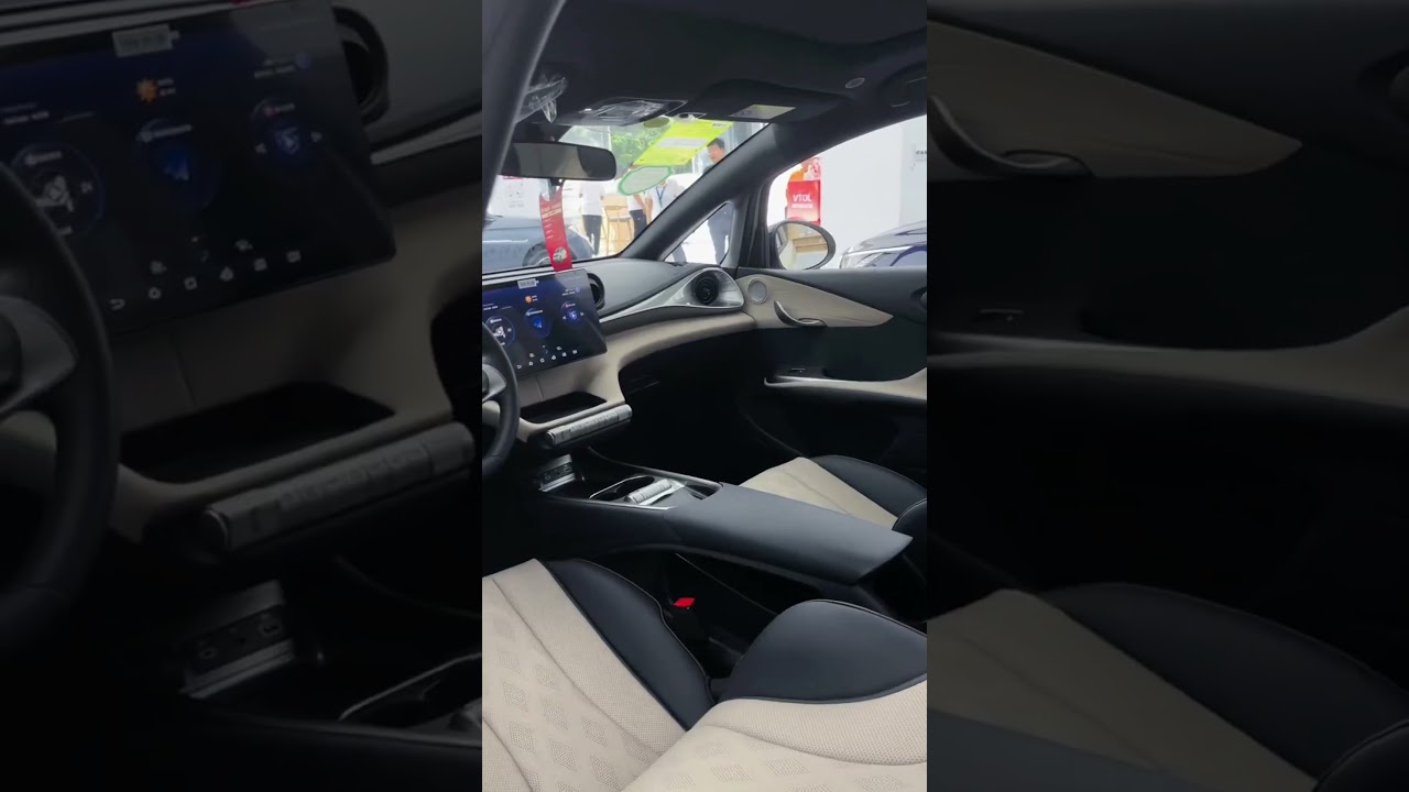 2025 BYD Dolphin   