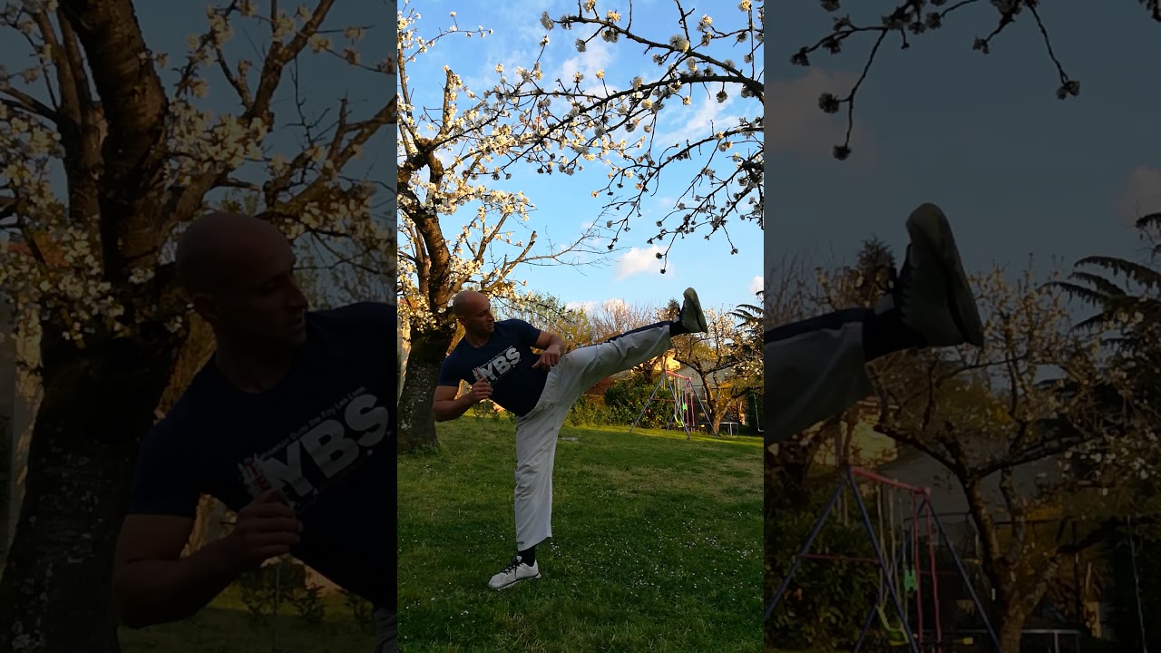 Entraînement Yoseikan Budo  1 - Confinement