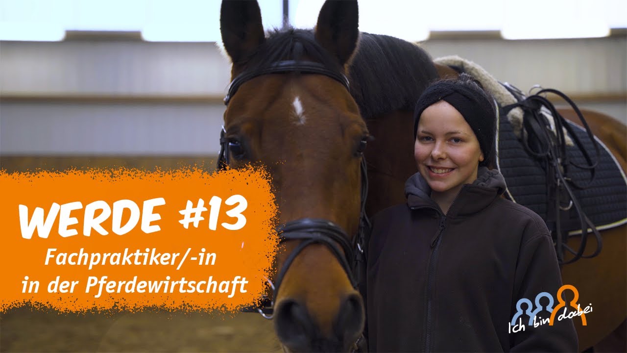 WERDE #13 Fachpraktiker*in in der Pferdewirtschaft