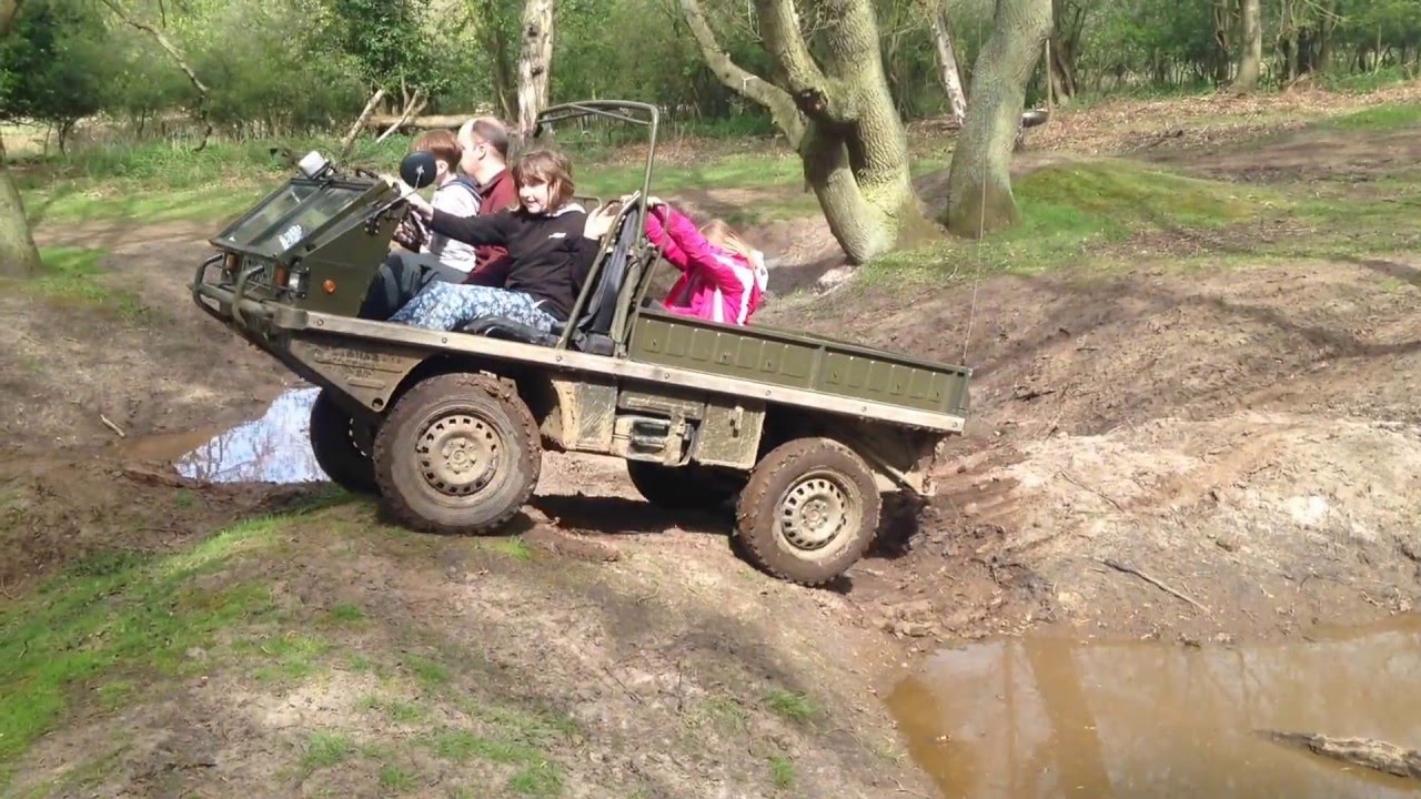 EXTREME OFFROAD / Haflinger/ 4x4