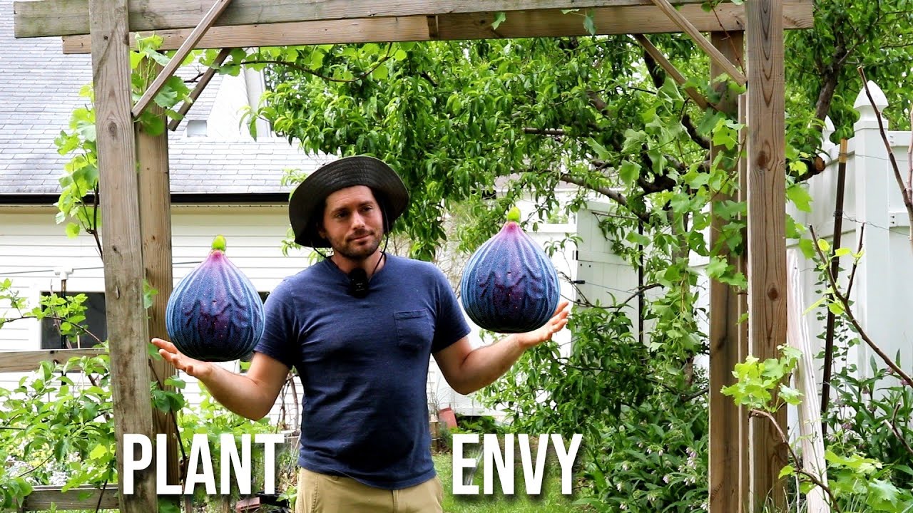 PLANT TOUR - 10 Year Old Backyard Orchard, New Gardens, & Naturalistic Design