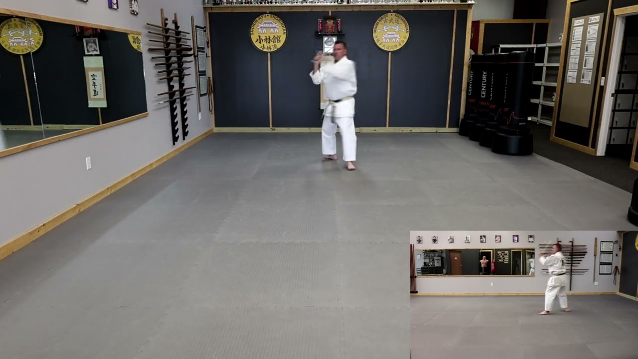 Shugoro no Sai Kata - Side View Included