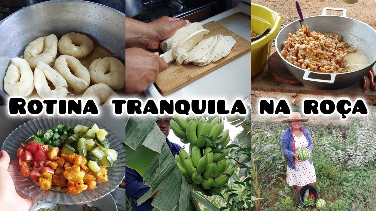 ROTINA NA ROÇA| MARIDO FEZ QUEIJO TRANÇA| COLHEITA