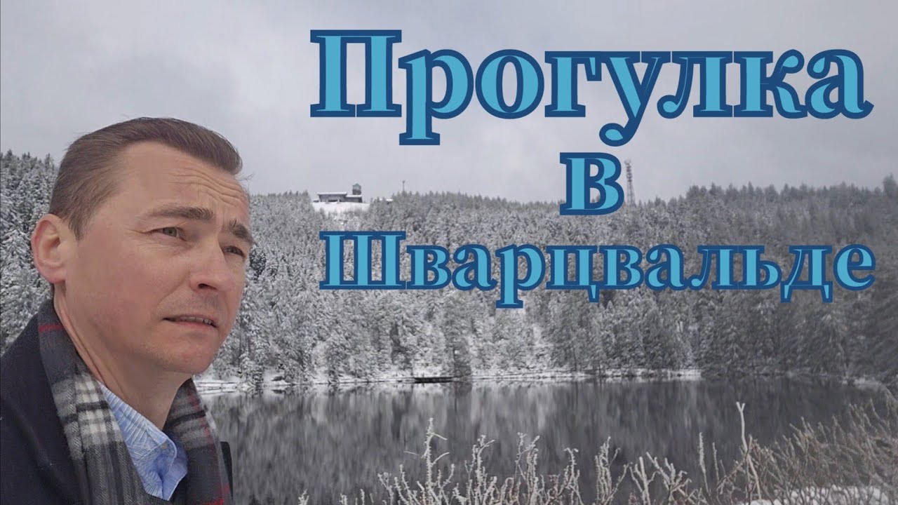 Прогулка в Германии горы Шварцвальд в снежную погоду #прогулка #природа #горы #снег #путешествие