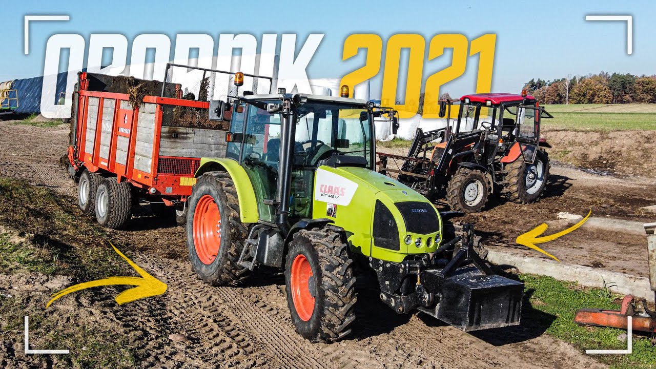 ✔Obornik 2021✔ [GR Wieczorek] 🔥Claas Celtis 446🔥 Ursus N266/1✔