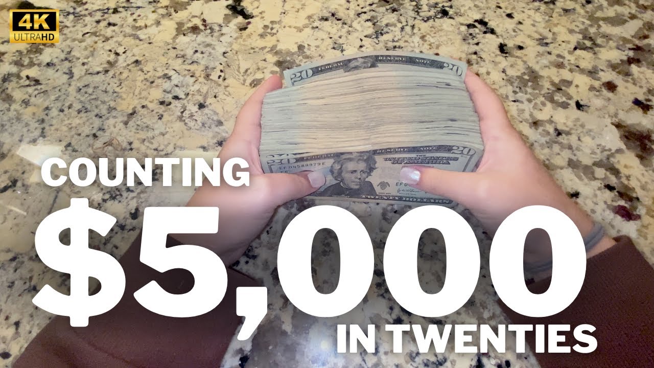 Counting $5,000 in 20s | Money Motivation & Visualization | 4K