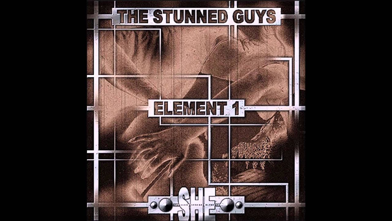 The Stunned Guys: Do the Fuck