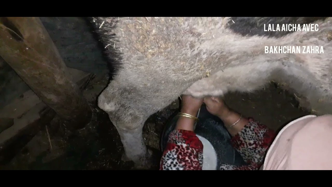 مرحبابكم في دواري