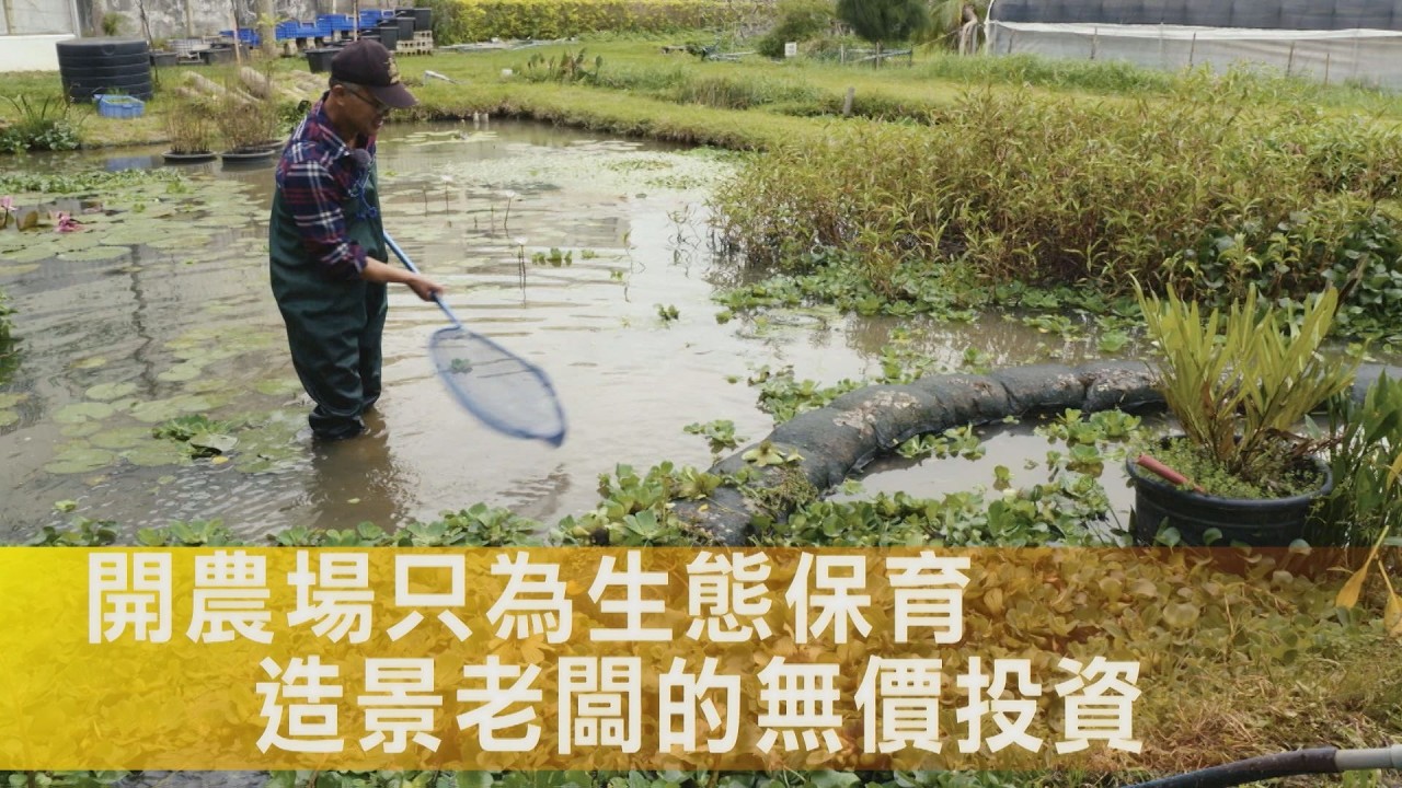 【桃園】