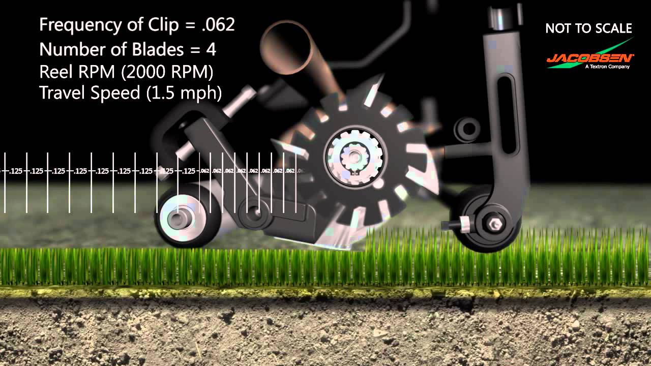 Frequency of Clip Animation