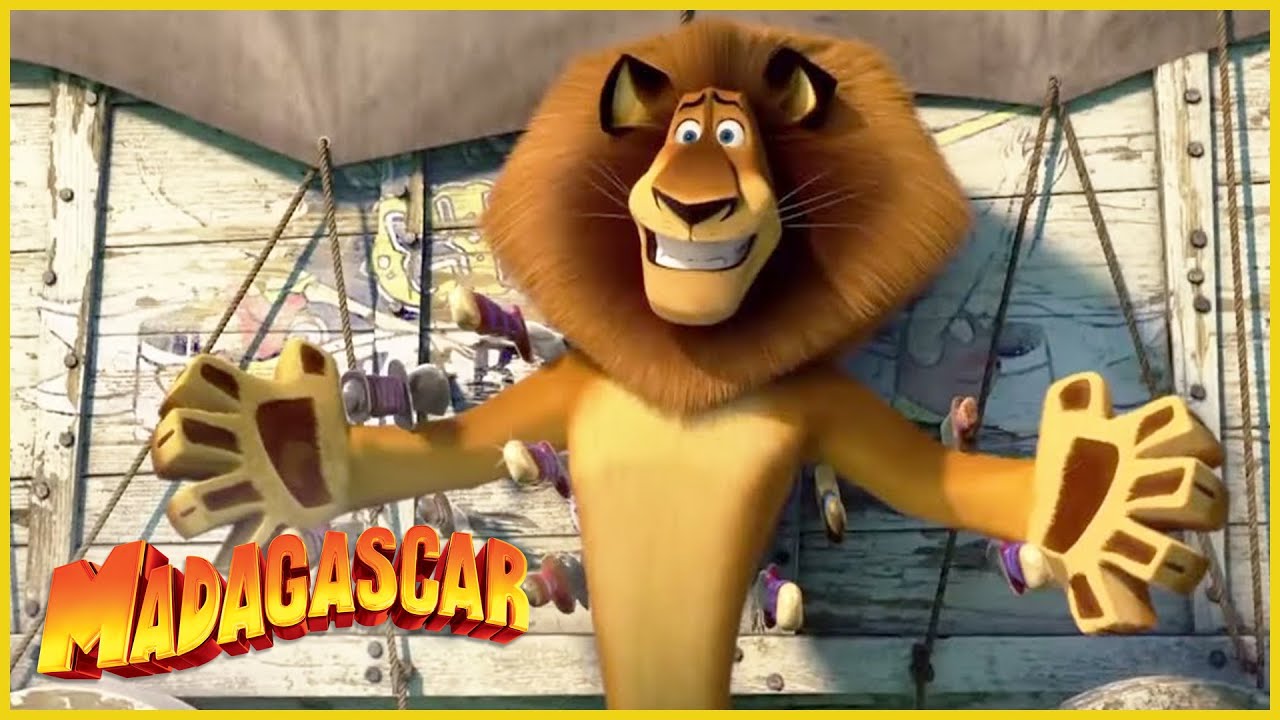 DreamWorks Madagascar en Español Latino | El Circo Està Aquí ❤️  | Madagascar 3: Los Fugitivos
