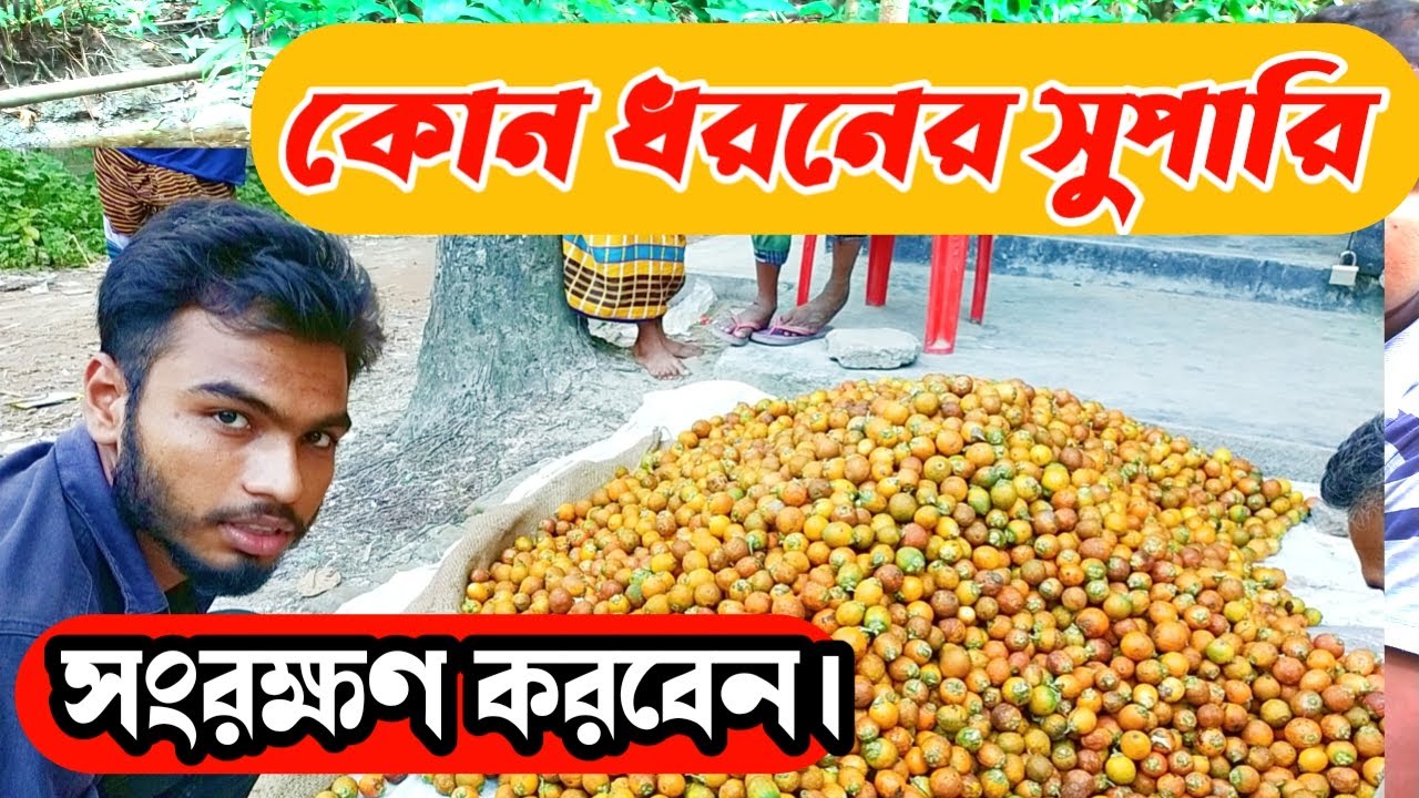 কোন ধরনের সুপারি আপনি সংরক্ষণ করবেন ||সুপারি সংরক্ষণ করে কিভাবে ব্যাবসা করবেন ||Business ide 24