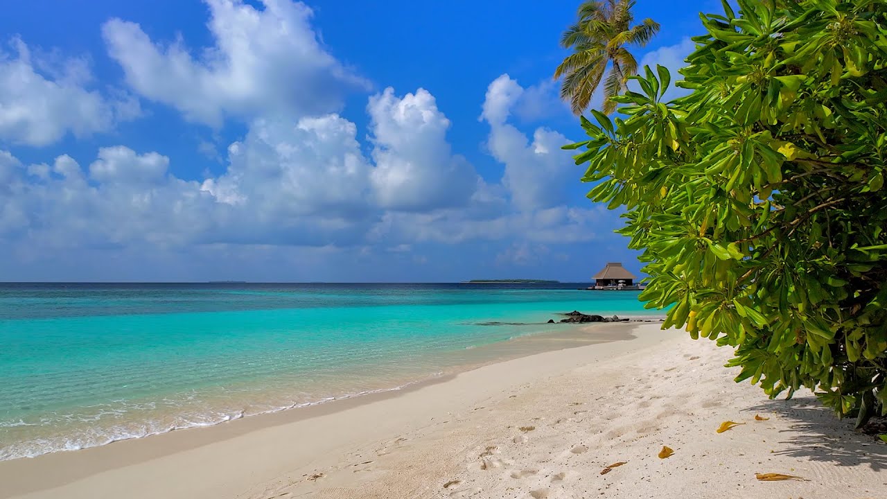 Heaven on Earth 🌴 Maldives & Ocean Waves 4K 60FPS Dolby Vision