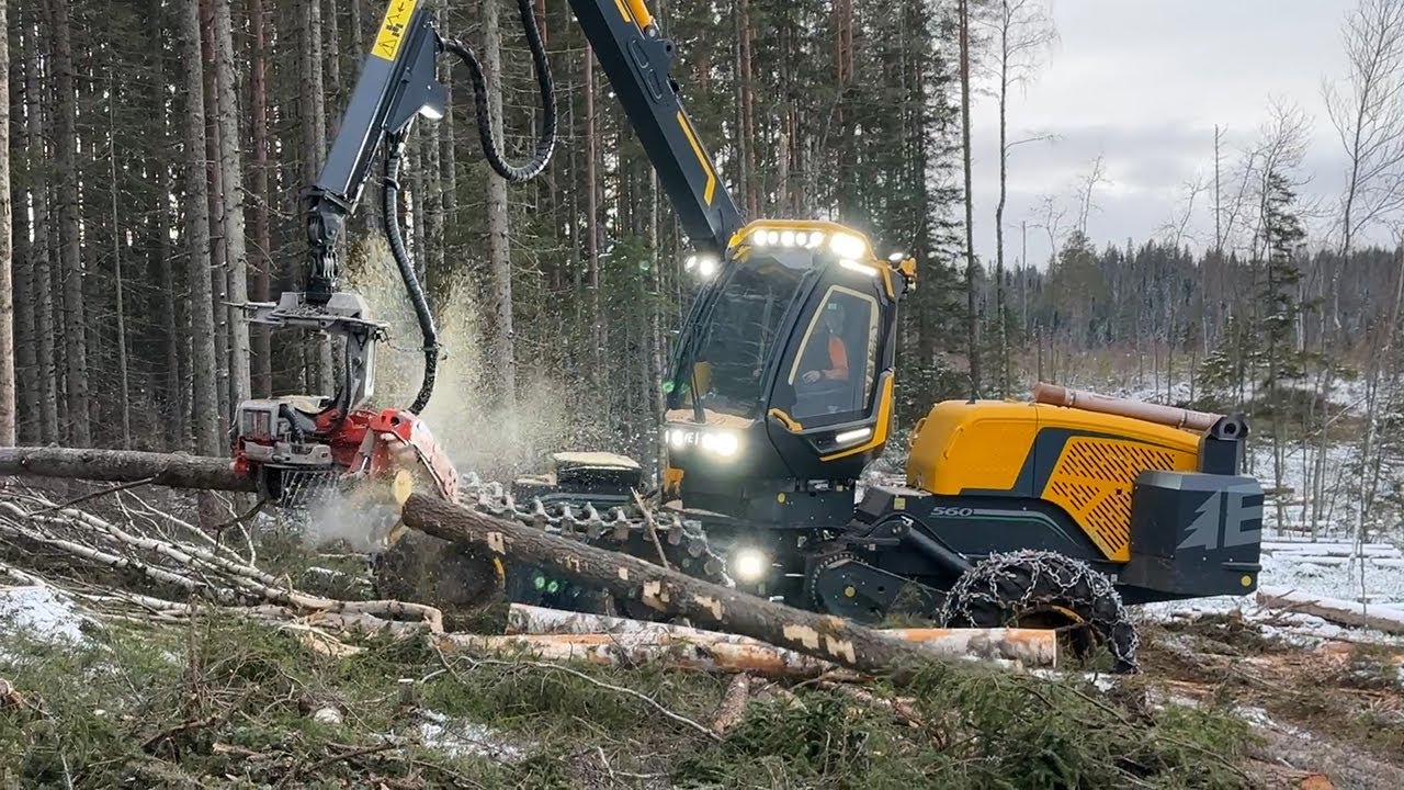 Eco Log hälsar på Alenius Skog AB - skördare Eco Log 560G