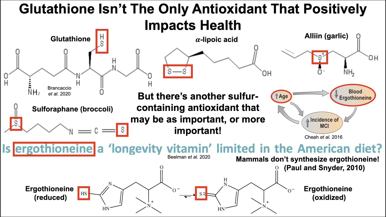 Ergothioneine: A 'Longevity Vitamin' With Potential Benefits For Age-Related Outcomes?