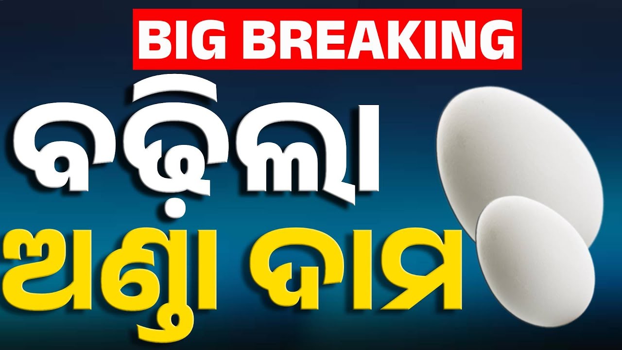 Egg Prices Soar To ₹9 Each | Consumers Worried About Rising Costs