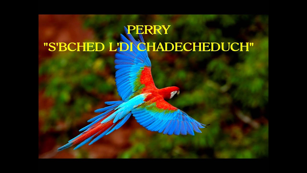 PERRY 