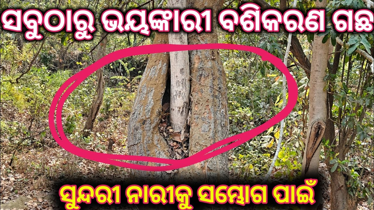 Dunia ra sabutharu shaktishali vashikaran tantra , वशीकरण