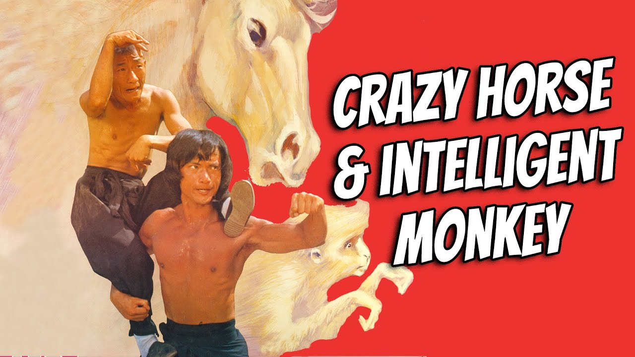 Wu Tang Collection - Crazy Horse & Intelligent Monkey WIDESCREEN