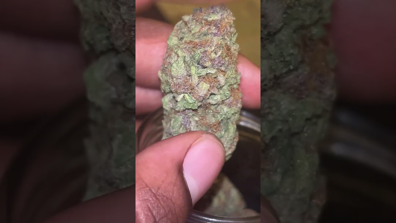 Lit Farms Tropicana Cherry (Essential)🔥😤 #cannabiscommunity #thcareview #stonersonly