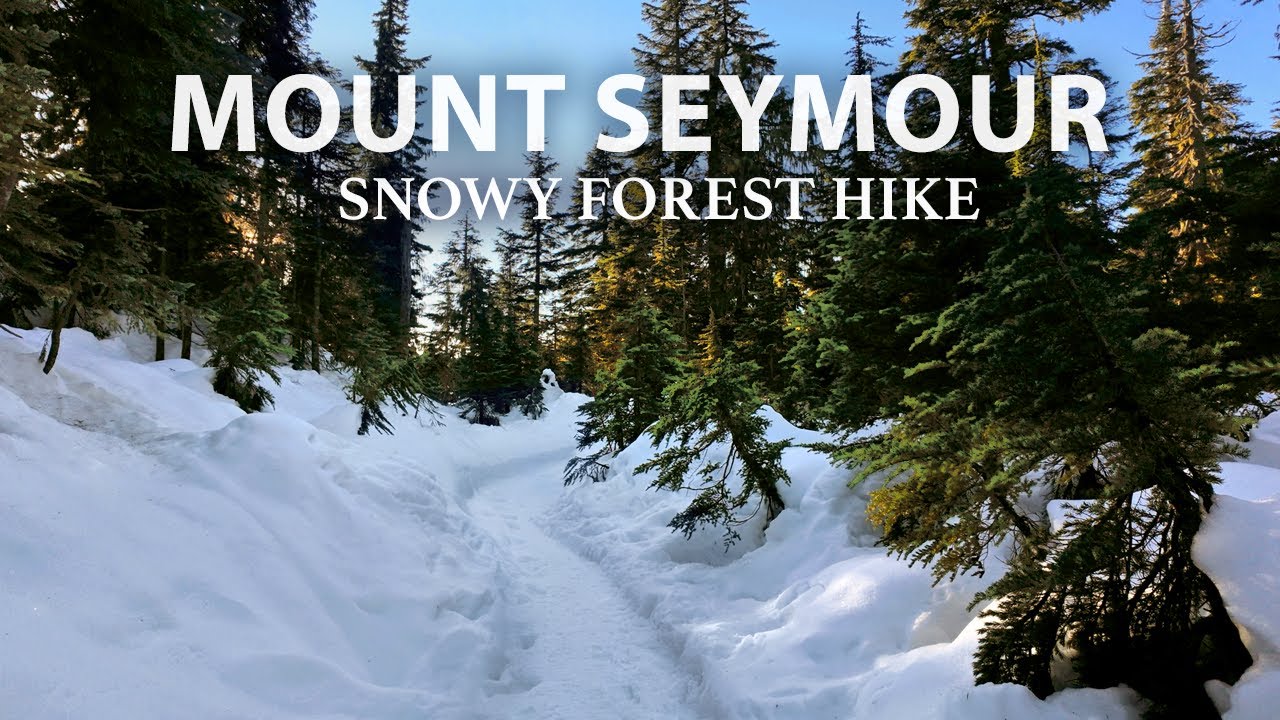 Relaxing Snow Hike - Crisp Winter Sunshine at Mount Seymour, North Vancouver BC Canada