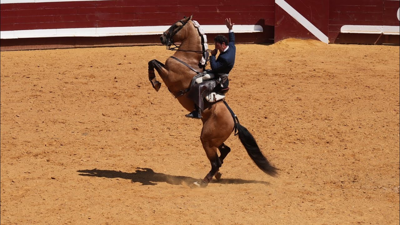 Léa Vicens, Andy Cartagena et Duarte Fernandes. Paseíllo corrida de rejon à Dax le 15 Août 2023.
