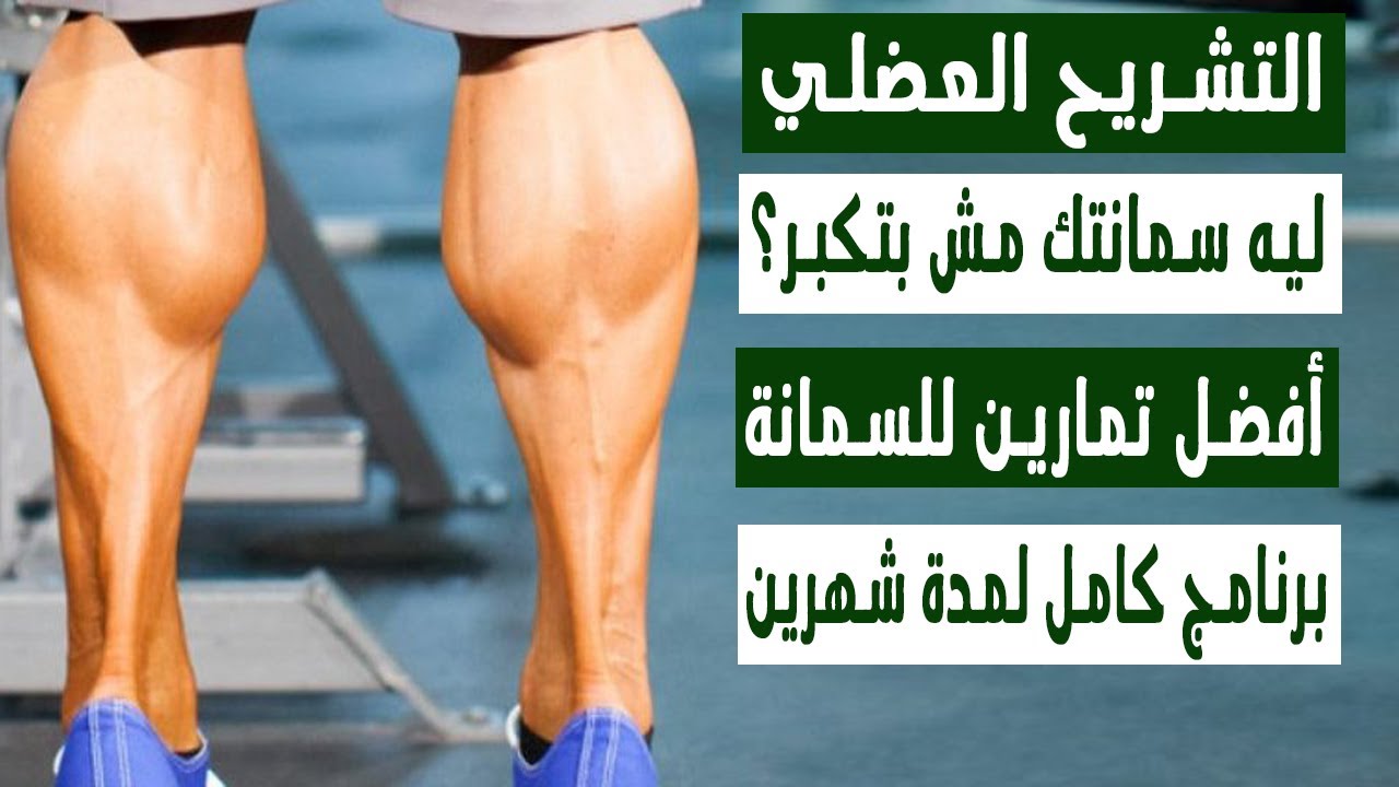 لو جيناتك ضعيفة, ازاي تضخم عضلة السمانة في وقت قليل