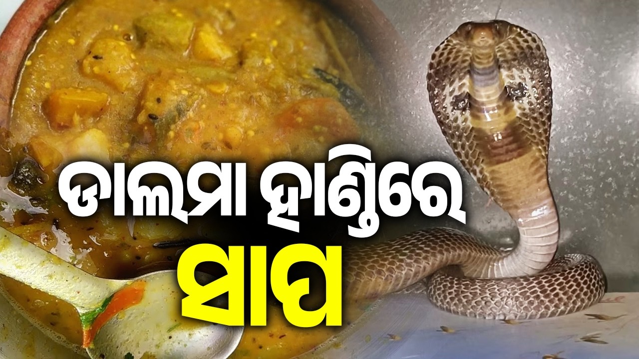 Snake found in Dalma during community feast in Odisha, 40 hospitalised in Kendrapara