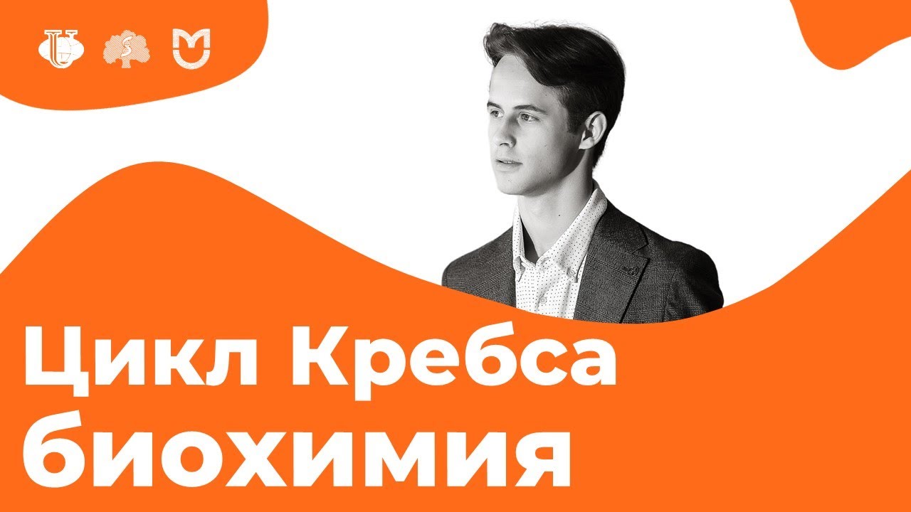 ЦИКЛ КРЕБСА (ЦТК) за 14 МИНУТ! // На Биохимическом