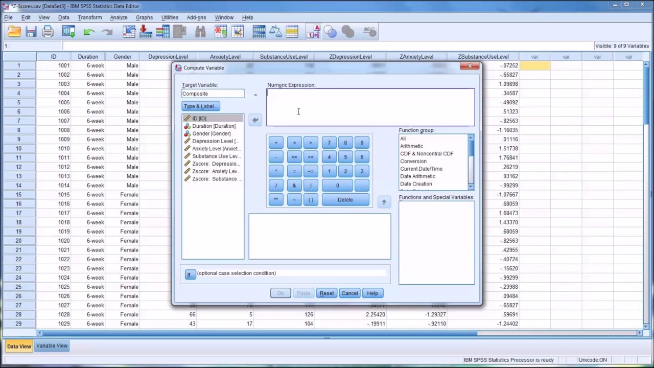 Converting Variables into Z Scores in SPSS