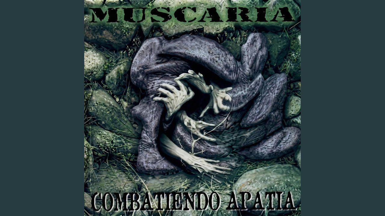 Activismo América