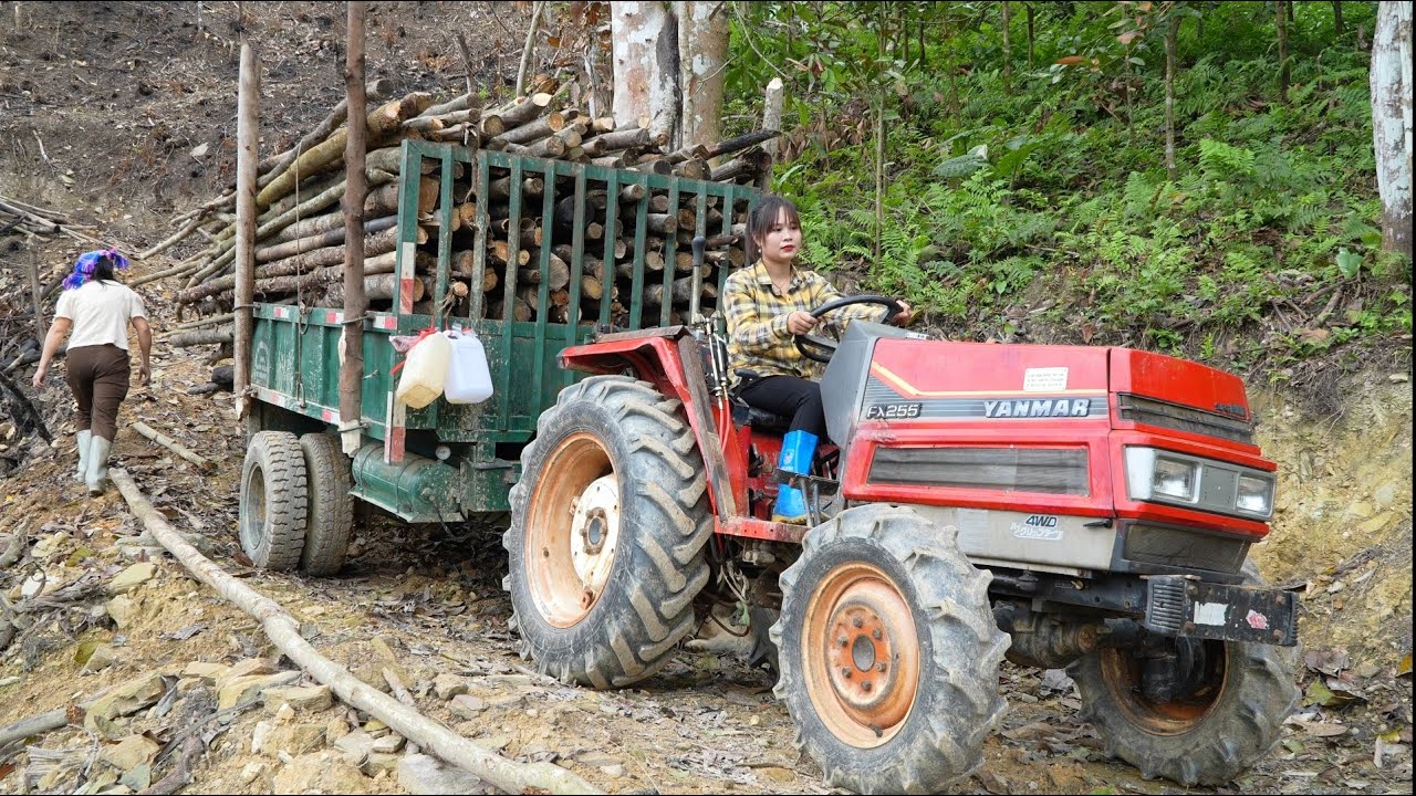 Plant a new crop of corn, feed the chickens and pigs, carry firewood home. Rural life