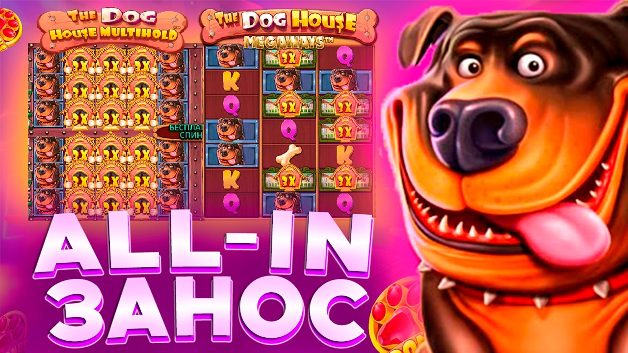 ЗАНОС В СОБАКАХ С ЛОУ БАЛАНСА / ЗАНОС В СЛОТЕ The Dog House Multihold / ПОЛЯНА БУДОК / ЗАНОСЫ НЕДЕЛИ