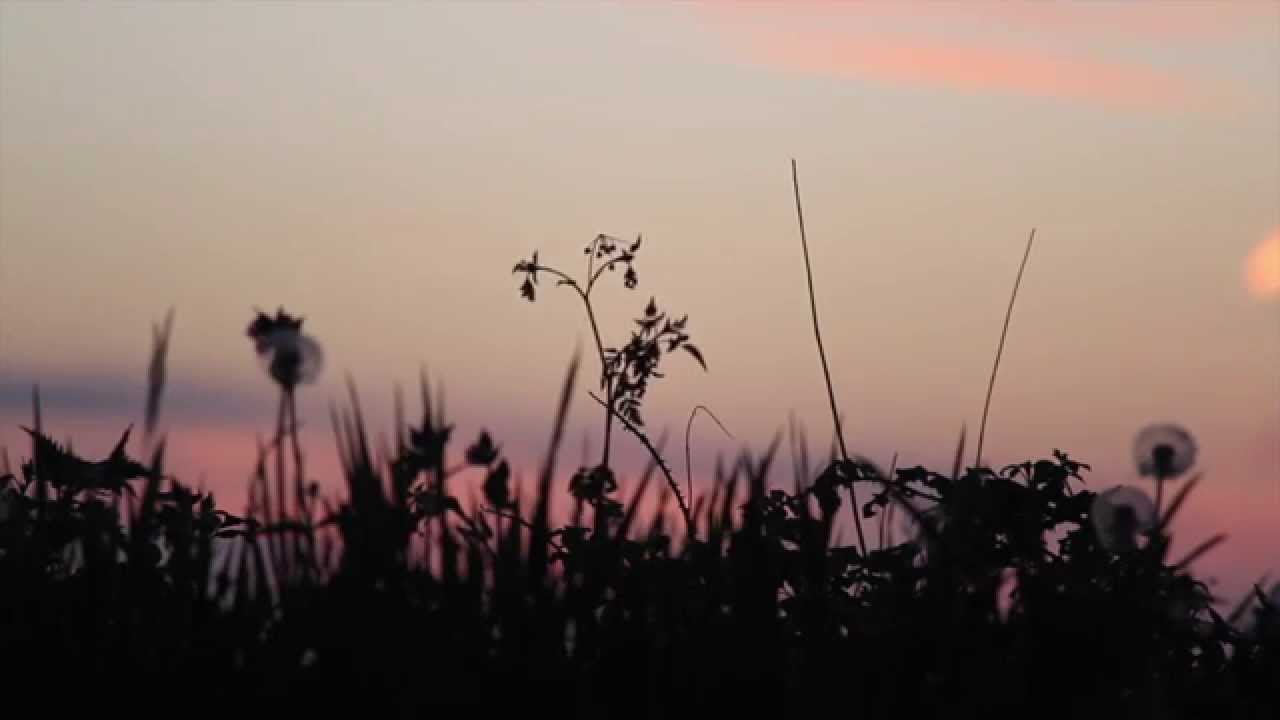 Roger O'Donnell Marke - Tristan and Isolde feat Julia Kent