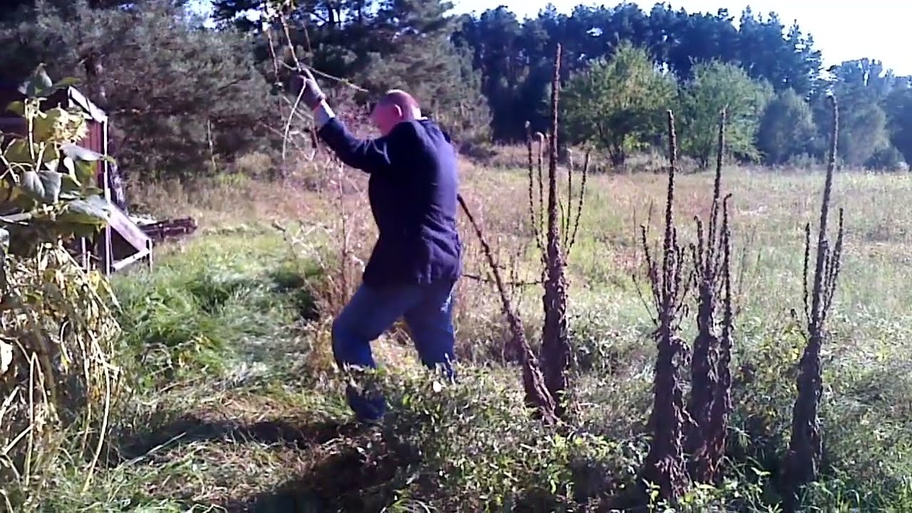 Jak usuwać chwasty łatwo i skutecznie? Pielenie działki pola ogrodu... Prace polowe 2023 2024 2025.