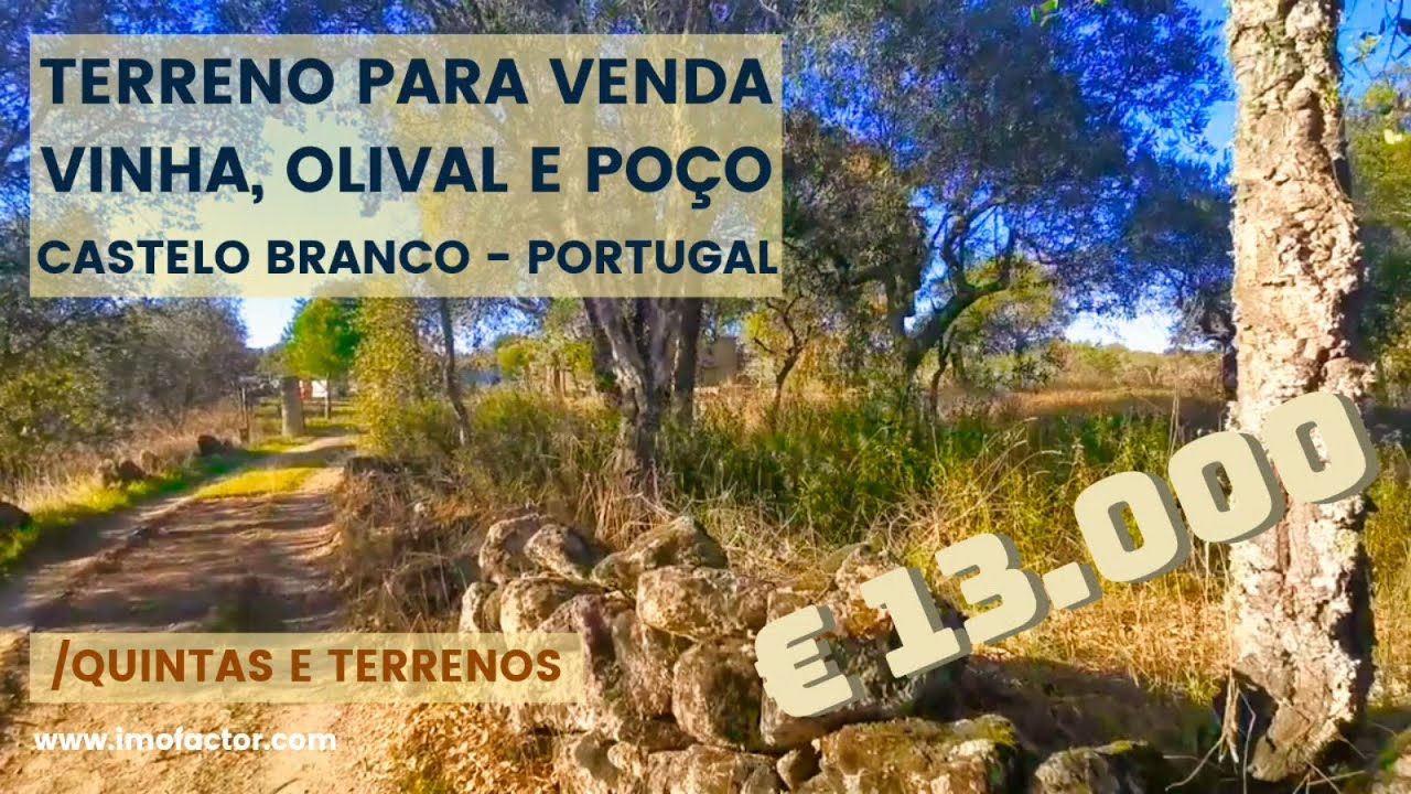 🌾 Terreno para Venda - Olival e Poço - Portugal | €13000