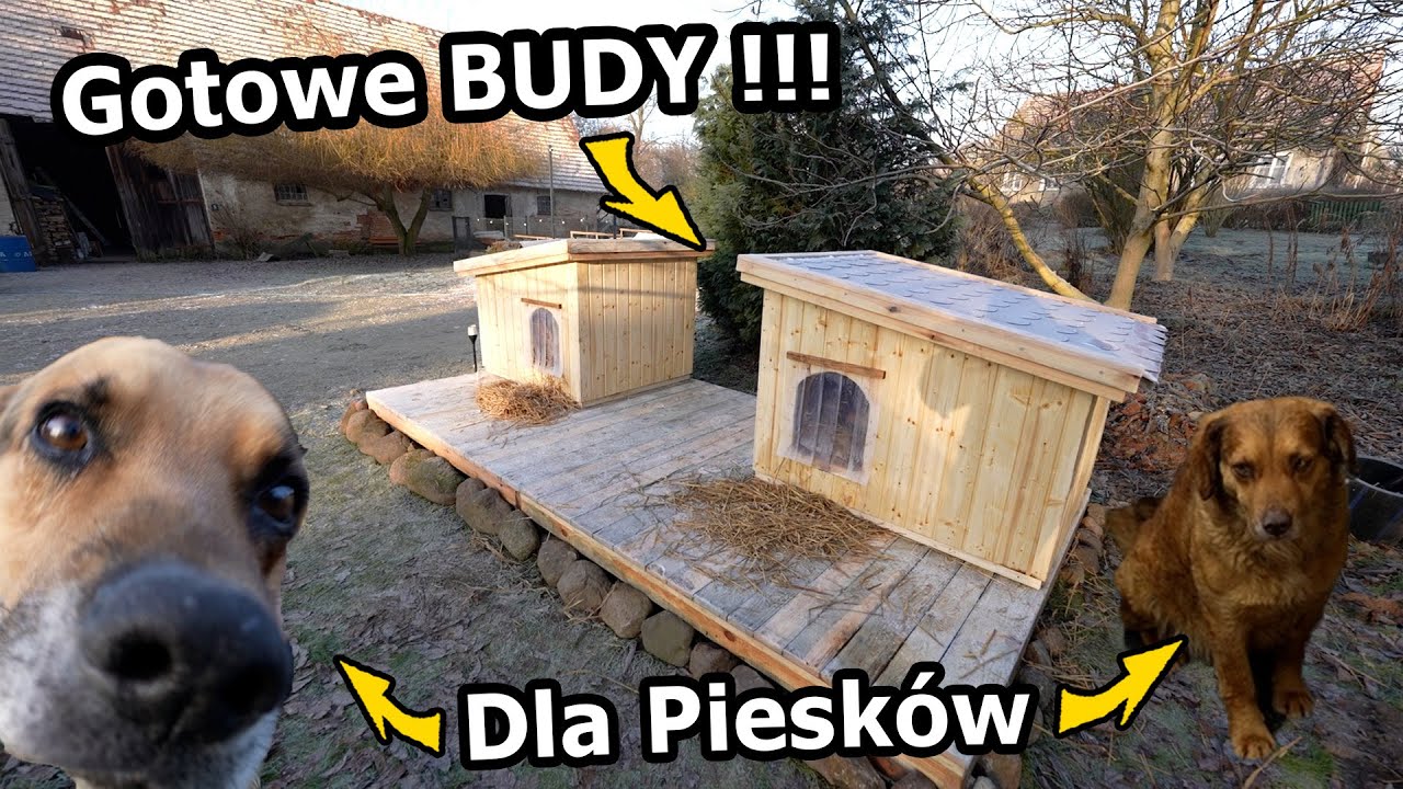 BUDY dla Psów na Siedlisku !!!! - Ocieplone Styropianem i Membraną! (#1126)
