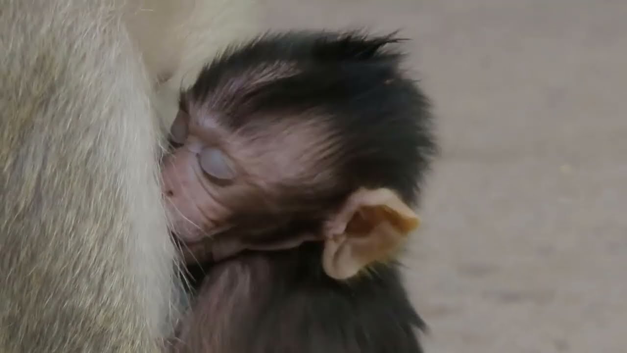 warmth place for baby get milk